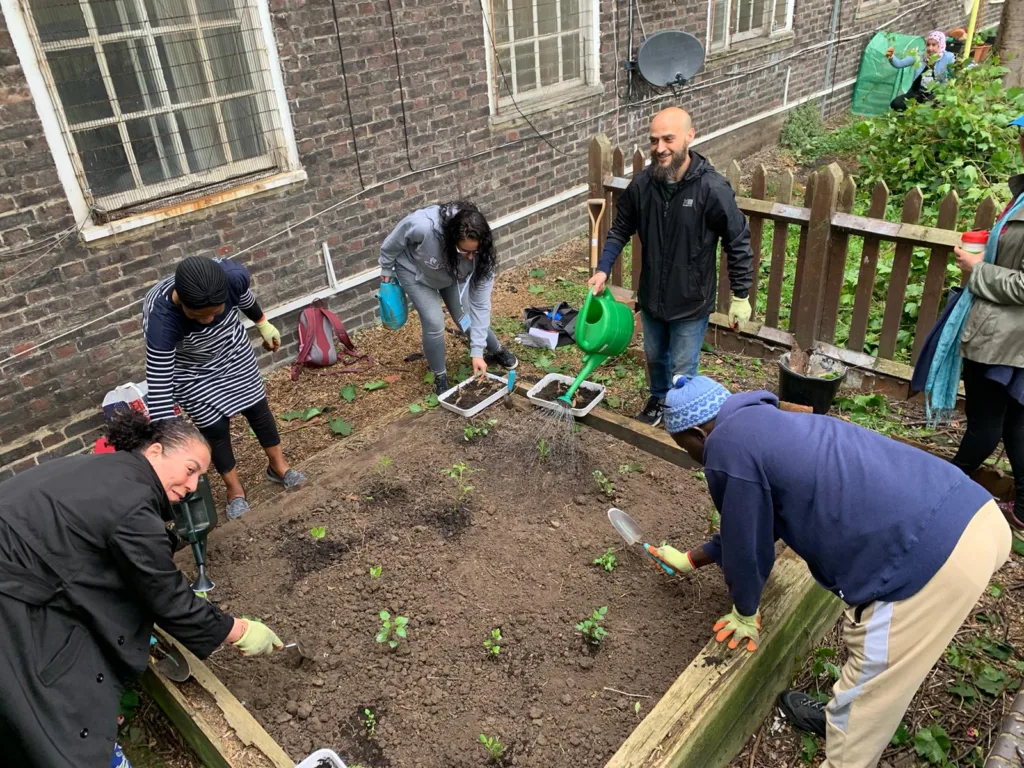 MECS Gardening Activity