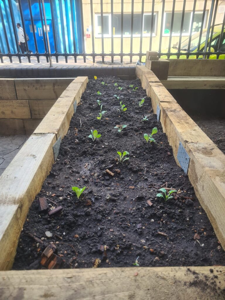 A photo of a planter in a garden