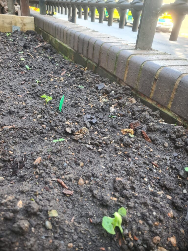 A photo of a planter in a garden