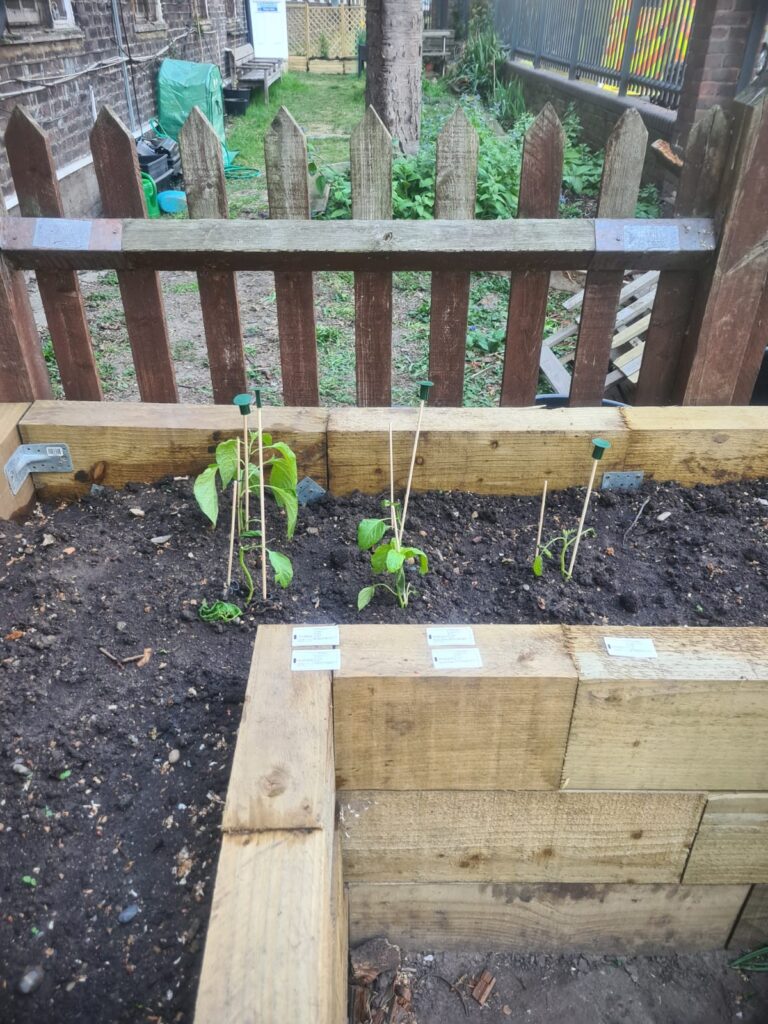 A photo of a planter in a garden