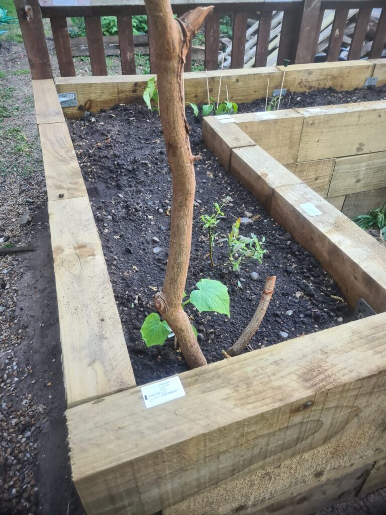 A photo of a planter in a garden