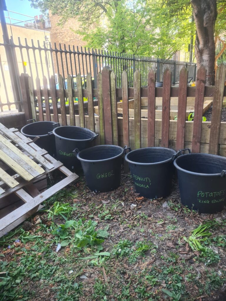 Plant pots in the garden