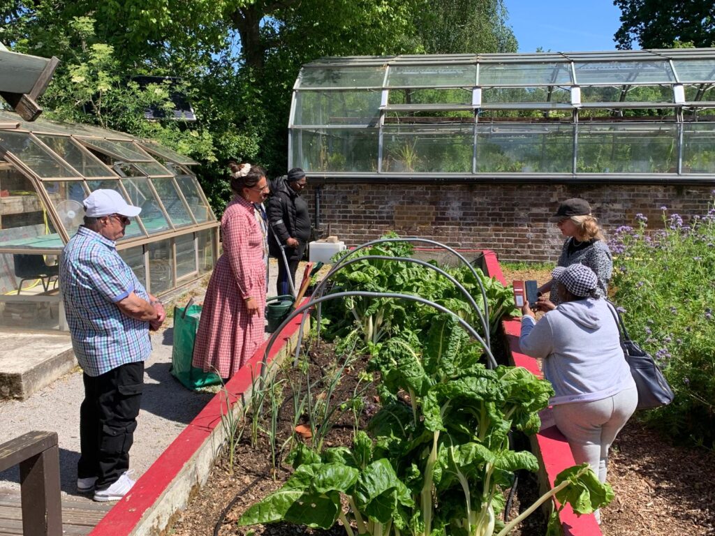 People inspect a planter full of chard at the Brockwell Park Community Greenhouses